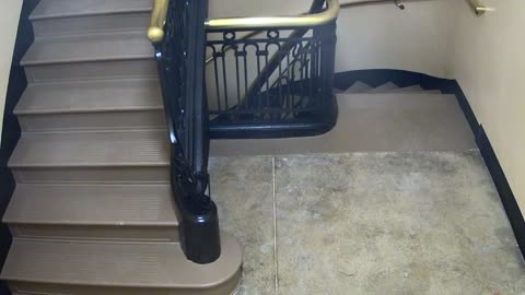 5189CHOB04Stair3_2021-01-06_06h00min01s993ms.mp4