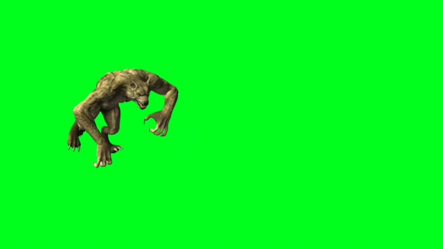 Werewolf animation on green background