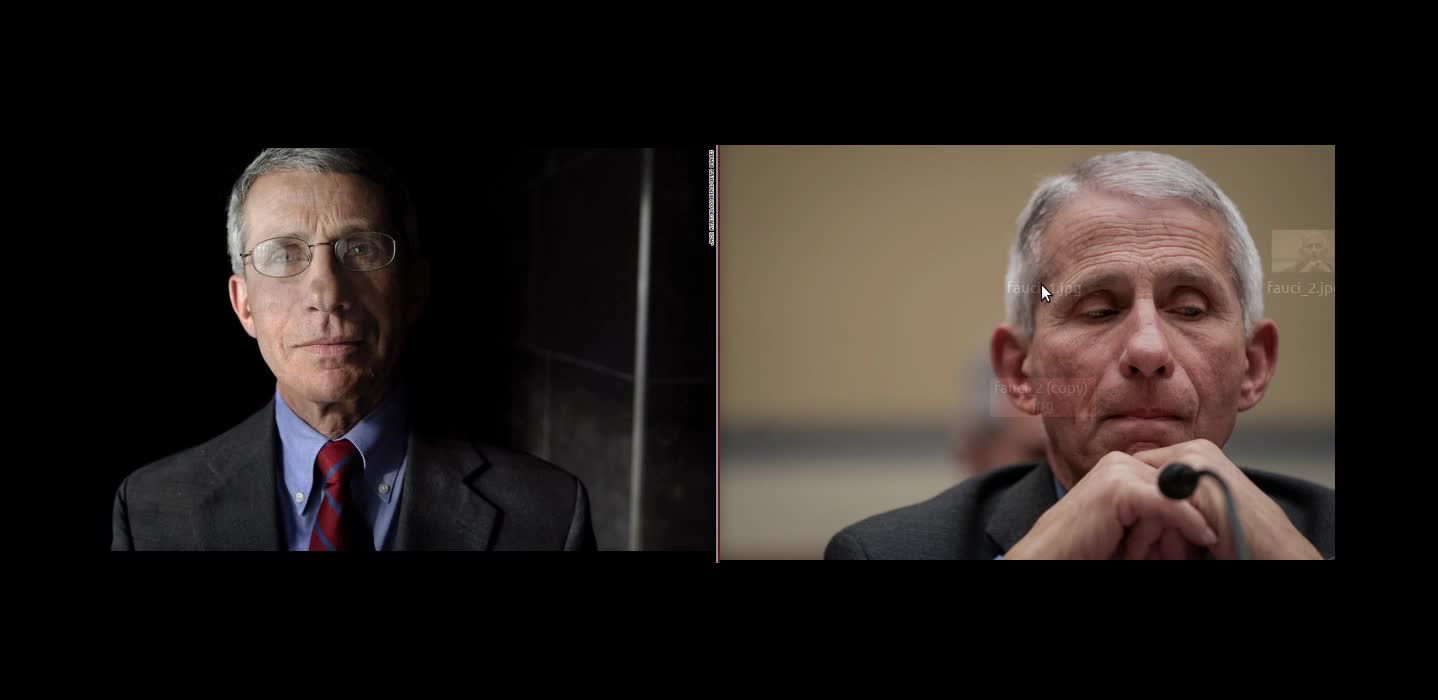 Faucci body double? You make the decision