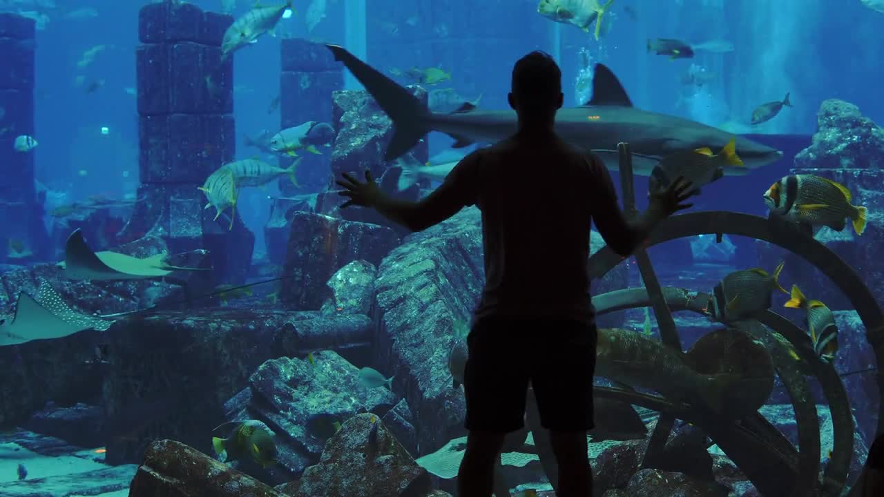 Back view of a tourists walking inside the Dubai aquarium,