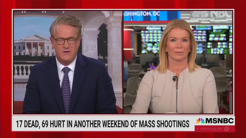 BBC Reporter To MSNBC – U.S. Should Just Ban All Guns