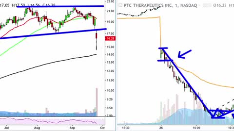 PTCT Swings Both Ways !