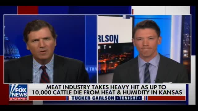 Tucker Carlson Covers the 10,000 Kansas Cattle Deaths and Food Processing Crisis in America