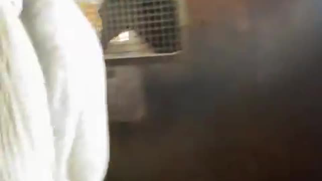 2022-9-4 Bye bye, will come and see you soon