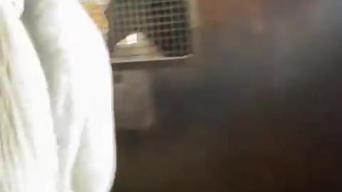 2022-9-4 Bye bye, will come and see you soon