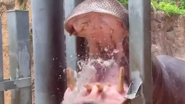 Cool off in the water