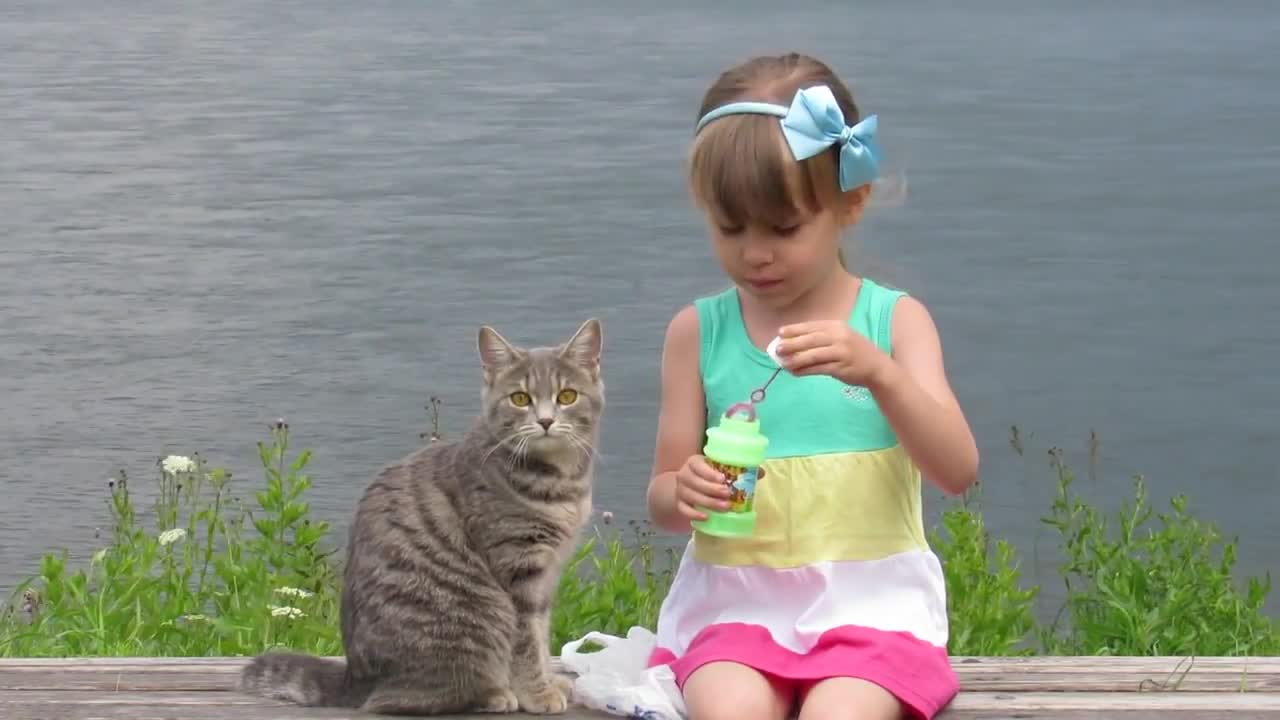 curious cat and girl blowing bubble