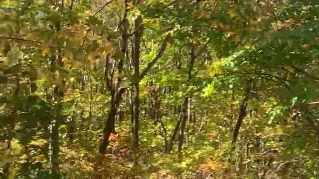 The autumn scenery of Mt. Seorak