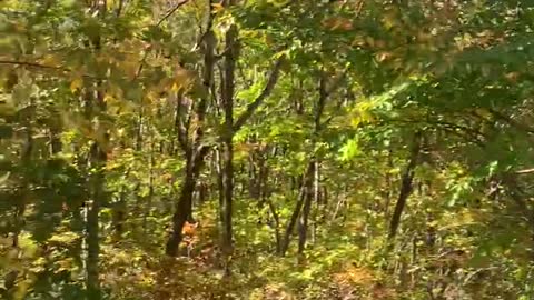 The autumn scenery of Mt. Seorak