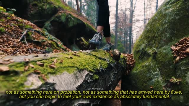 Alan Watts The Most Eye Opening 10 Minutes Of Your Life