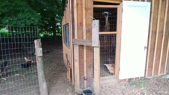 Chicken coop