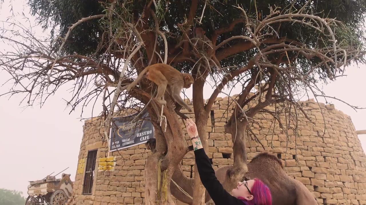 Jaisalmer