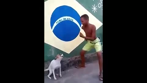 perro bailando con el niño