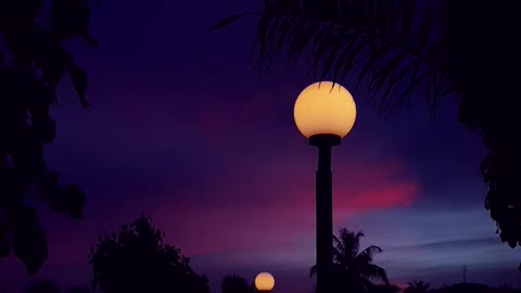 Feel the Sunset
