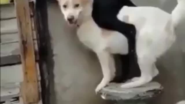 Private report the situation