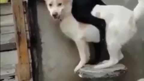 Private report the situation