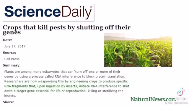 GeoEngineering Crops, Food & Fruit.!!