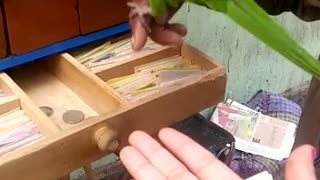 So smart parrot