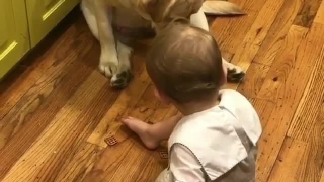We play well together and grow up together
