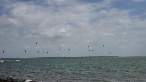 Wind Surfing in Tampa