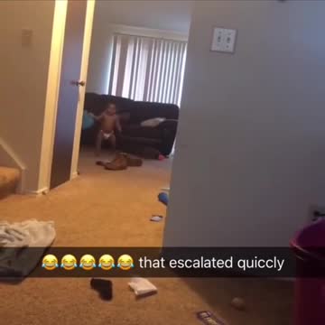 funny|prank|jokes|funny jokes|dad jokes|funny memes|funny video|fun|laughing|funny animal|knock 04