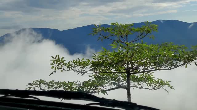 Beautiful Nature
