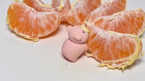 Pig eating orange