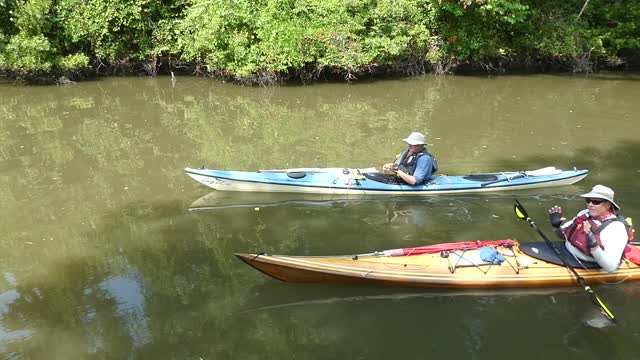 WATER TRIBES (A day late and a Dollar short)