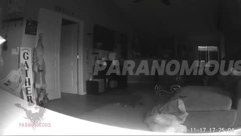 Paranormal activity #10