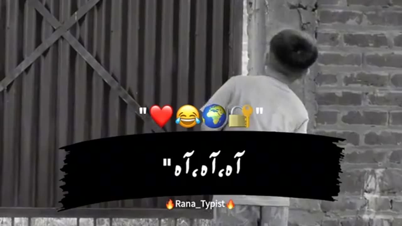 Fani video