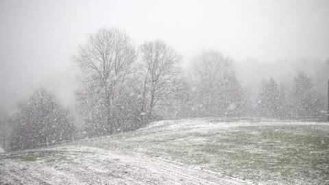 Relaxing Piano Music with Beautiful Snow, Soothing Waves and Peaceful Music