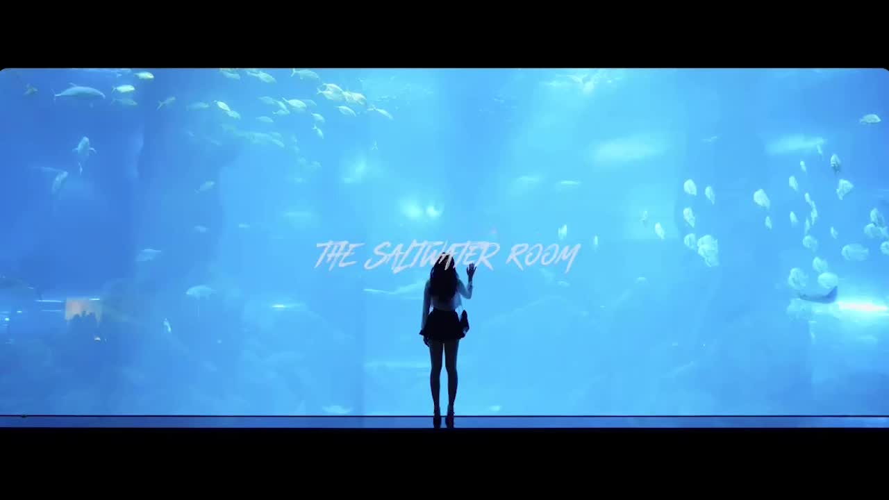 The saltwater room