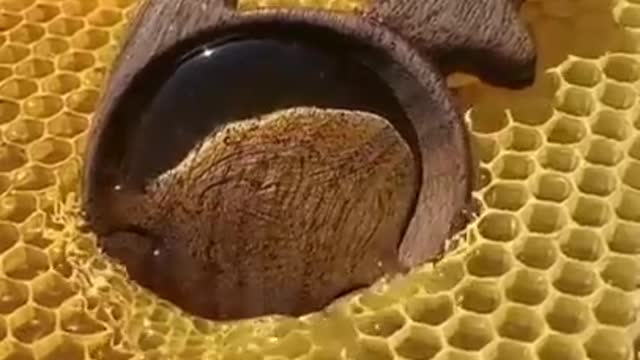 Best Oddly Satisfying Video for Stress Relief #Shorts