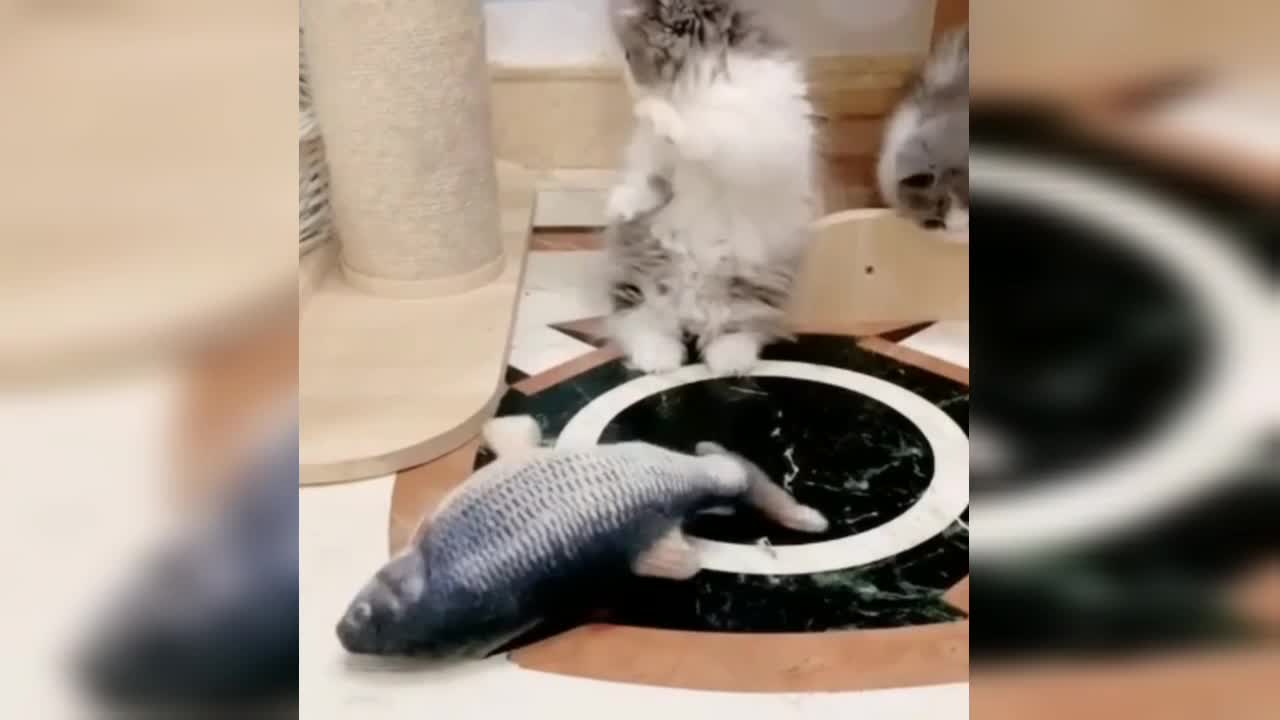 will it be if it is a real fish?