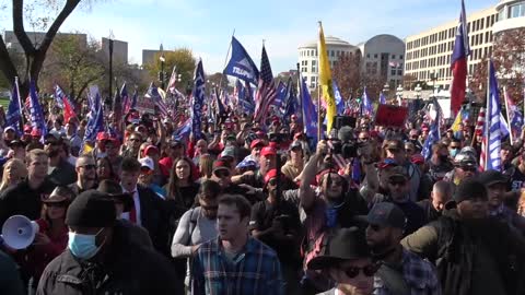 DC MAGA March