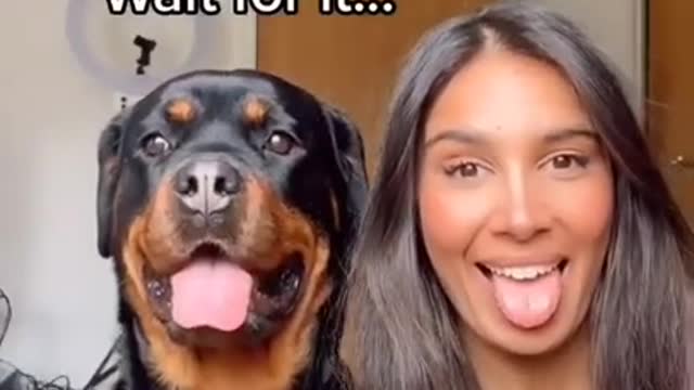 Dog funny videos🤣😂 cute dog Dog recation