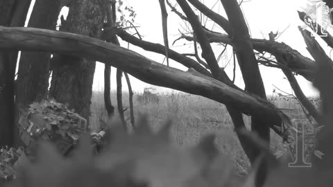 SOF ambush on Russian soldiers, - UA_REG TEAM 🔥