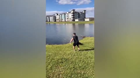 Funny videos of dogs and cats FUNNY