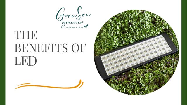 There Are Many Benefits To Having LED Grow Lights