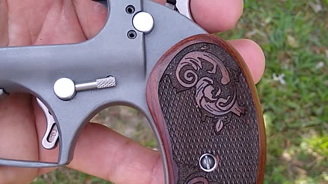Bond Arms Derringer (with custom grips)