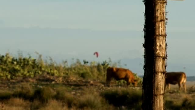 Africa sign