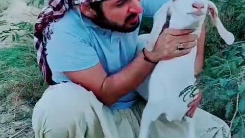 Funny video