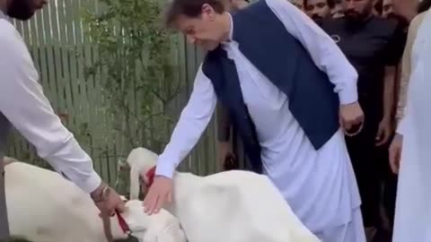 سابق وزیر اعظم عمران خان