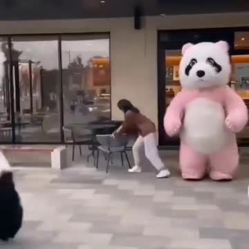 Tukr Tukr cute panda bear