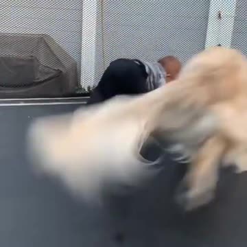 they really have fun Does this remind you any moment about your dog or baby?