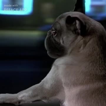 ironmanduck as #WillSmith #MIB #deepfake #faceswap #shorts #movie