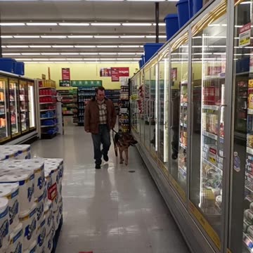 Service dog at Marc's!