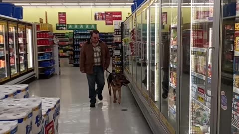 Service dog at Marc's!