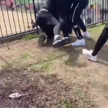 Cam Newton single-handedly took out a group of men who jumped him