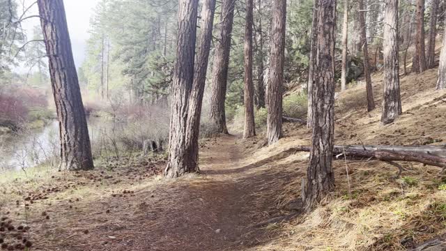 Hiking Beside the Side Arm of Mighty Deschutes River – Central Oregon – 4K